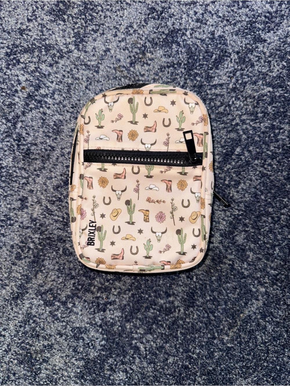 Brixley Western Print Crossbody Bag - Light Pink